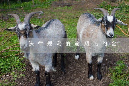 法律规定的逾期违约金 法律规定的逾期违约金