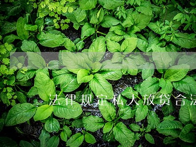 法律规定私人放贷合法吗