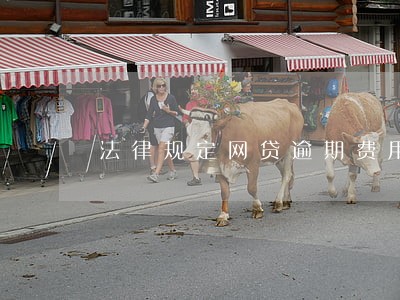 法律规定网贷逾期费用是多少 法律规定网贷逾期费用是多少