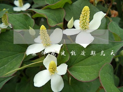 法律规定能逾期几天 法律规定能逾期几天