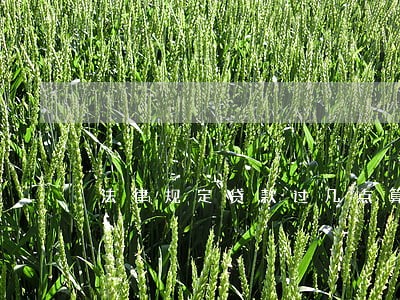 法律规定贷款过几点算逾期 法律规定贷款过几点算逾期