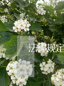 法律规定车贷逾期多久会交罚款 法律规定车贷逾期多久会交罚款