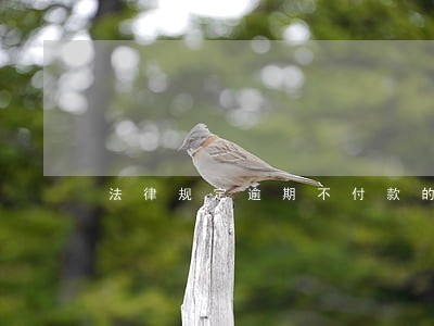 法律规定逾期不付款的滞纳金比例 法律规定逾期不付款的滞纳金比例