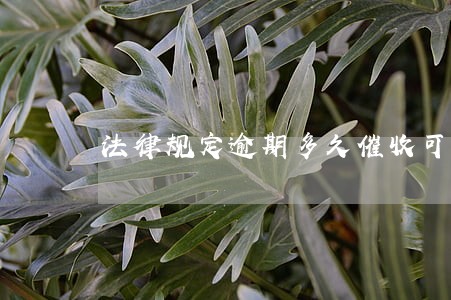 法律规定逾期多久催收可以上门 法律规定逾期多久催收可以上门