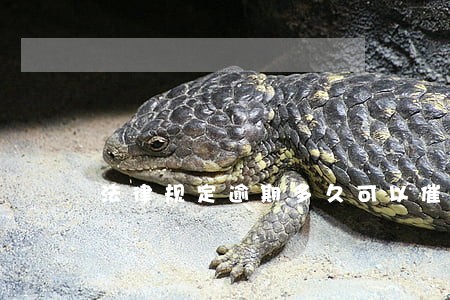 法律规定逾期多久可以催款 法律规定逾期多久可以催款