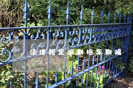 法律规定逾期拖车期限 法律规定逾期拖车期限