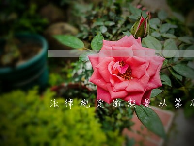 法律规定逾期是从第几天算起 法律规定逾期是从第几天算起