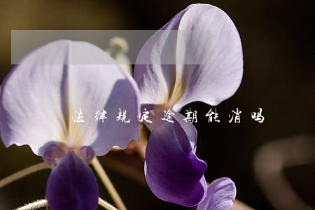 法律规定逾期能消吗 法律规定逾期能消吗