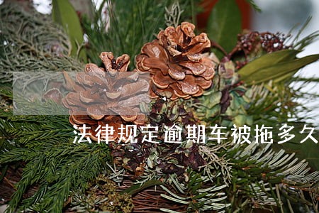 法律规定逾期车被拖多久会被卖掉 法律规定逾期车被拖多久会被卖掉