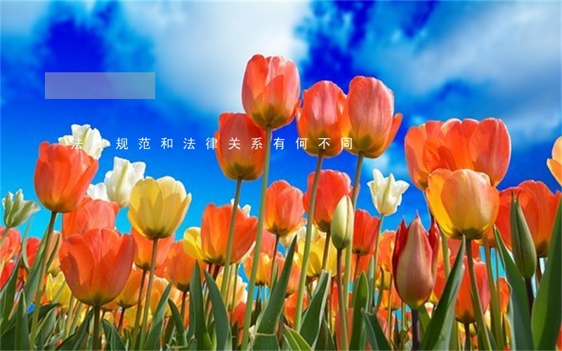 法律规范和法律关系有何不同