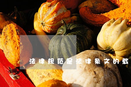法律规范是法律条文的载体 法律规范是法律条文的载体