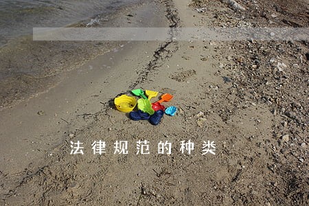 法律规范的种类