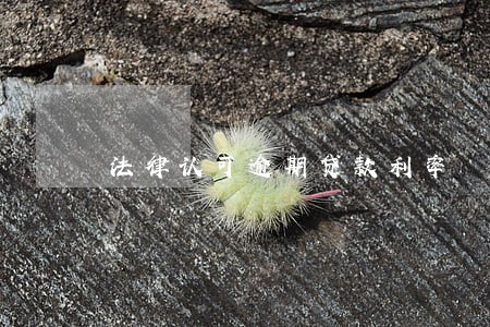 法律认可逾期贷款利率 法律认可逾期贷款利率