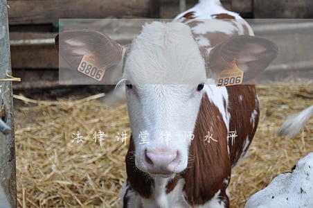 法律讲堂律师水平 法律讲堂律师水平