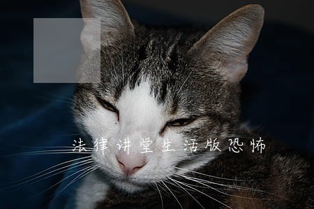 法律讲堂生活版恐怖 法律讲堂生活版恐怖