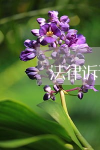 法律诉讼人民日报 法律诉讼人民日报
