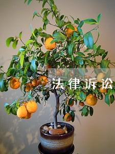 法律诉讼多困扰企业发展
