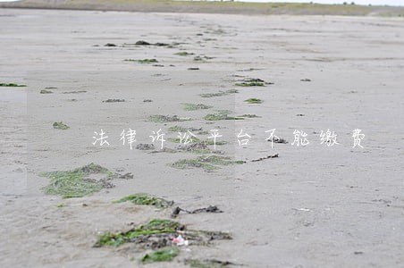 法律诉讼平台不能缴费 法律诉讼平台不能缴费