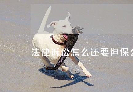 法律诉讼怎么还要担保公司 法律诉讼怎么还要担保公司