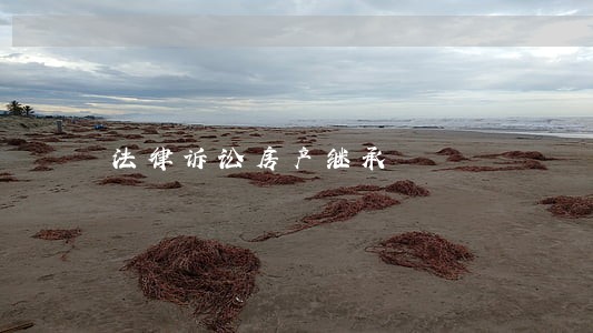 法律诉讼房产继承 法律诉讼房产继承