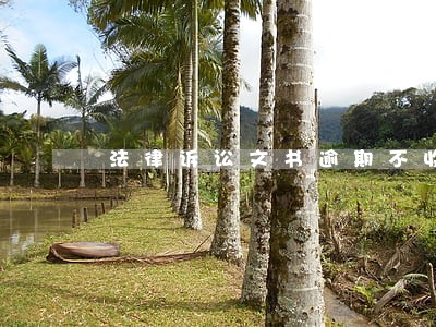 法律诉讼文书逾期不收会怎样 法律诉讼文书逾期不收会怎样