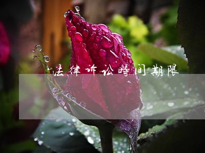 法律诉讼时间期限 法律诉讼时间期限