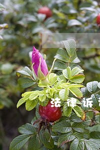 法律诉讼的商业启示 法律诉讼的商业启示