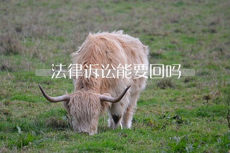 法律诉讼能要回吗