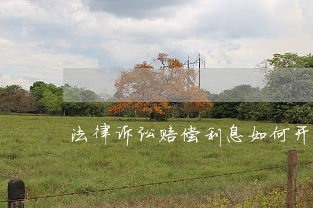 法律诉讼赔偿利息如何开票 法律诉讼赔偿利息如何开票