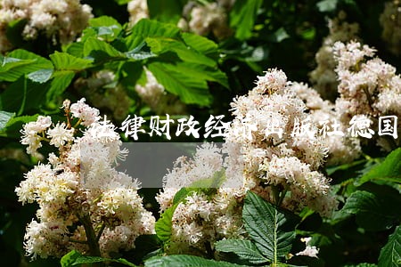 法律财政经济出版社德国