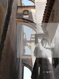 法律责任主体的翻译 法律责任主体的翻译