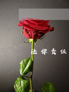 法律责任等你来