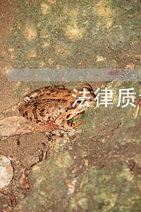 法律质询我可以告他吗 法律质询我可以告他吗
