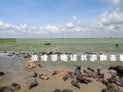 法律资格证书逾期未备案 法律资格证书逾期未备案