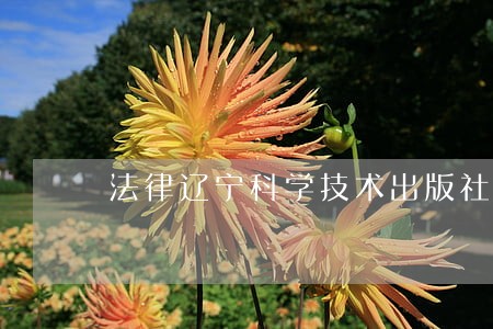 法律辽宁科学技术出版社中国税务出版社 法律辽宁科学技术出版社中国税务出版社