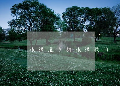 法律进乡村法律顾问