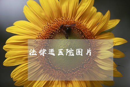 法律进医院图片 法律进医院图片