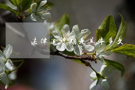 法律追诉期是具体多久 法律追诉期是具体多久