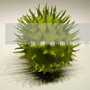 法律适用与司法公信力 法律适用与司法公信力