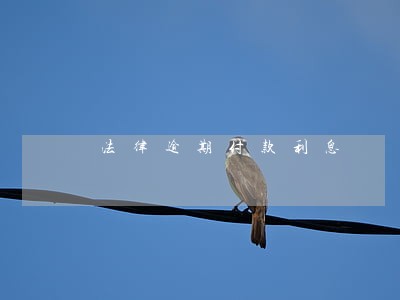 法律逾期付款利息 法律逾期付款利息