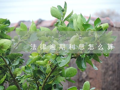 法律逾期利息怎么算 法律逾期利息怎么算