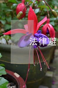 法律避责合同 法律避责合同