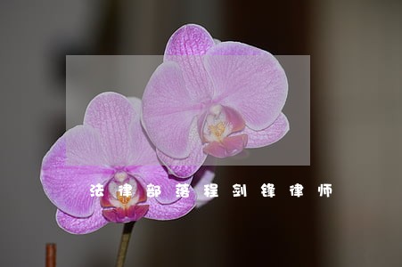法律部落程剑锋律师 法律部落程剑锋律师