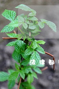 法律都有哪些法 法律都有哪些法