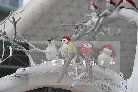 法律里是这样规定的 法律里是这样规定的
