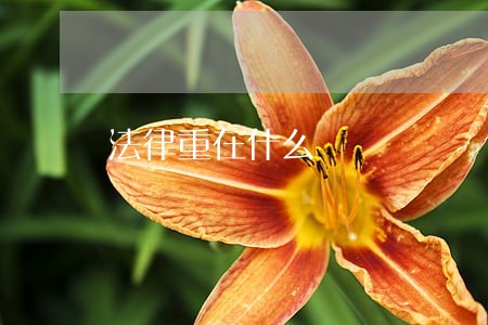 法律重在什么 法律重在什么