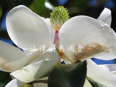 法律问卷调查 法律问卷调查