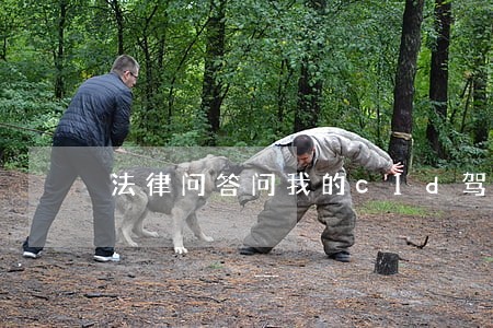 法律问答问我的c1d驾照合并 法律问答问我的c1d驾照合并
