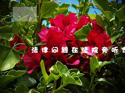 法律问题在法院旁听家属能去几人 法律问题在法院旁听家属能去几人