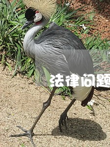 法律问题随时问 法律问题随时问
